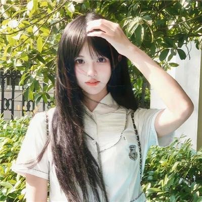 森林守护队
