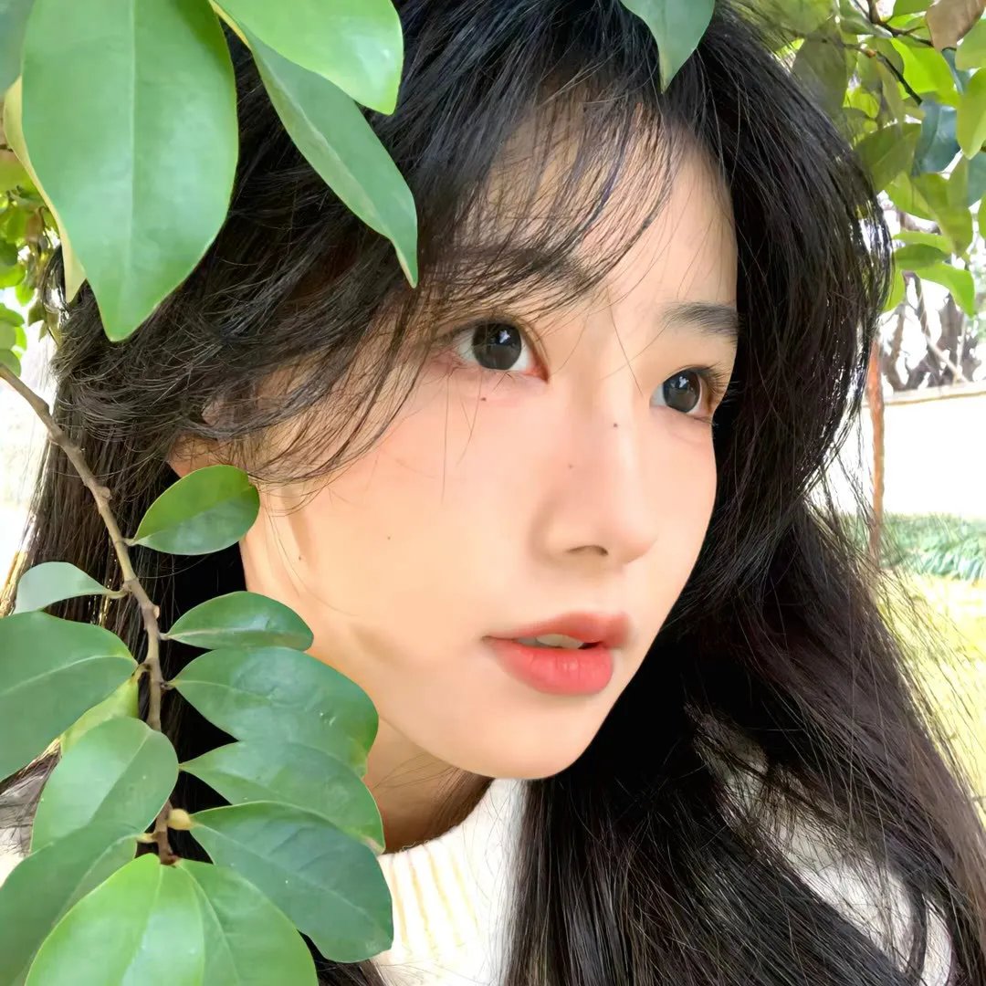 女皇之刃 流浪的战士